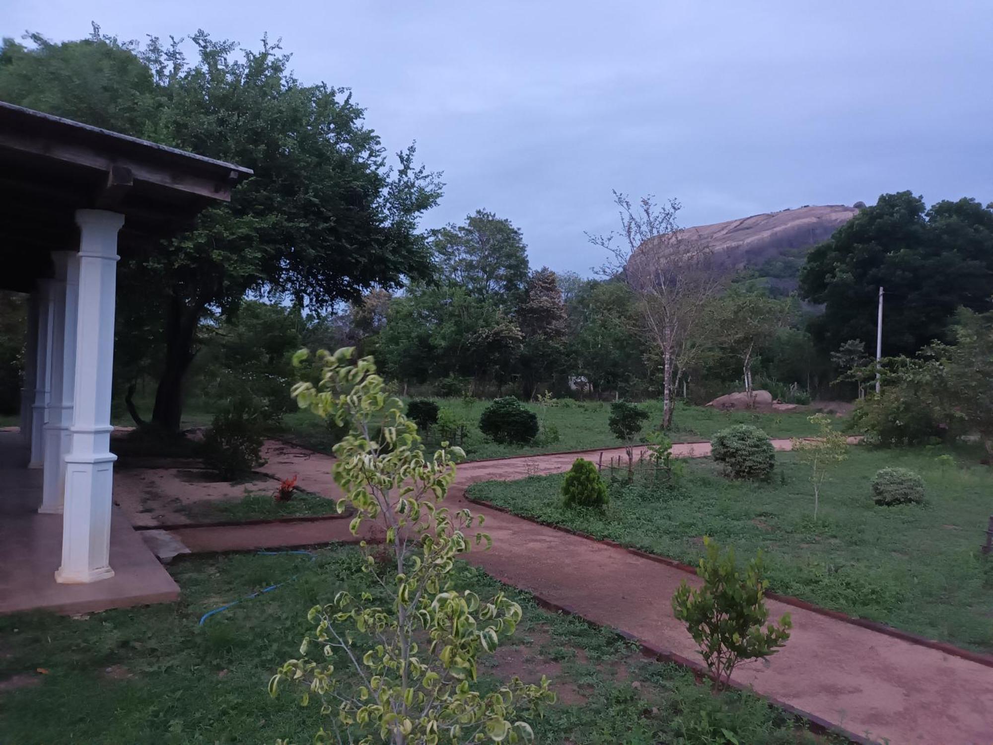 Hotel Sigiri Arana Sigirîya Extérieur photo